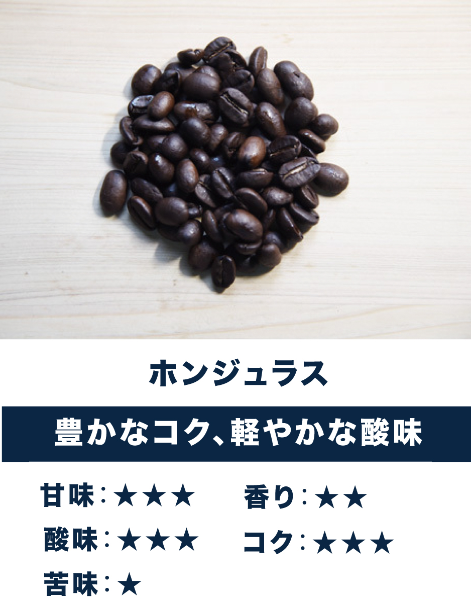 ホンジュラスコーヒー豆通販