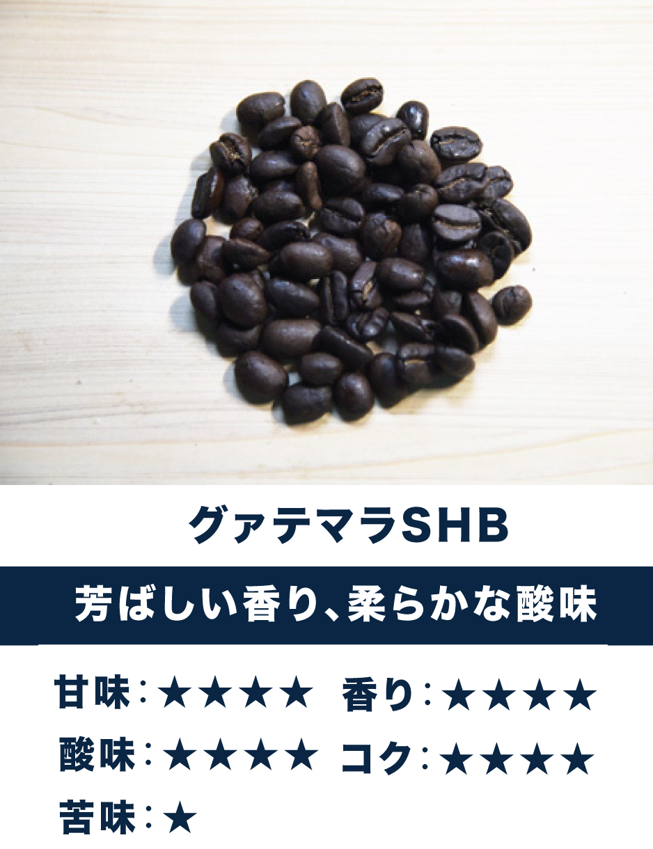 グァテマラSHB