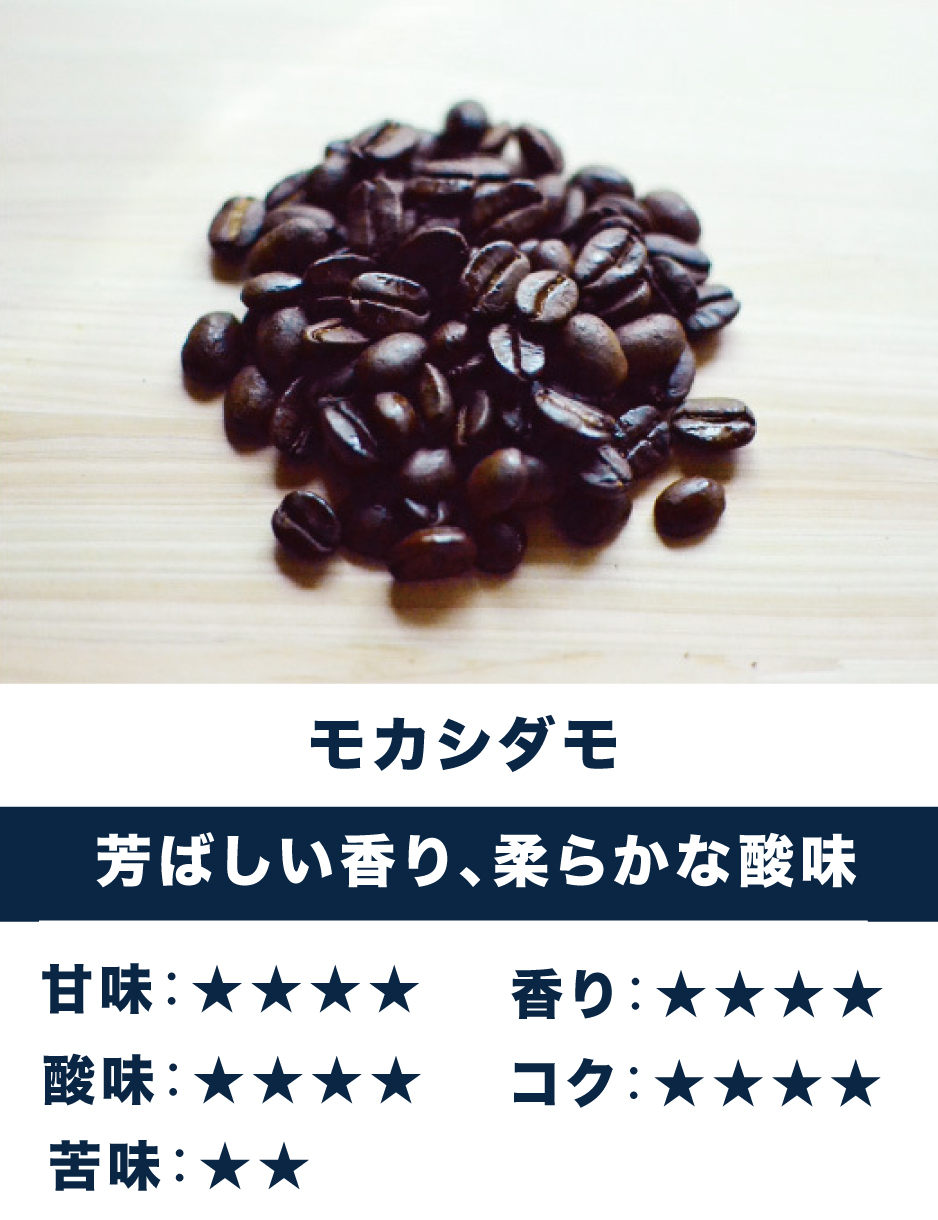 コーヒー豆通販